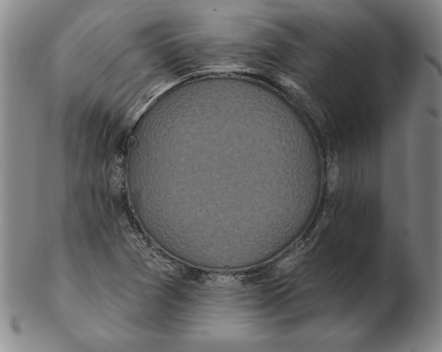 X0000102351361200808221644