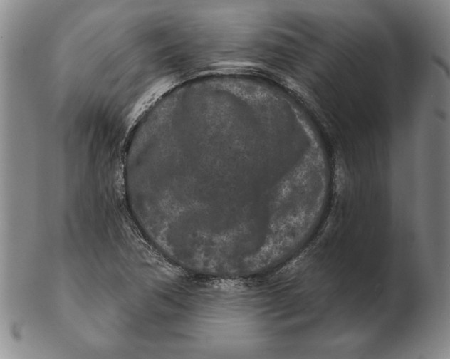 X0000102351362200808221644