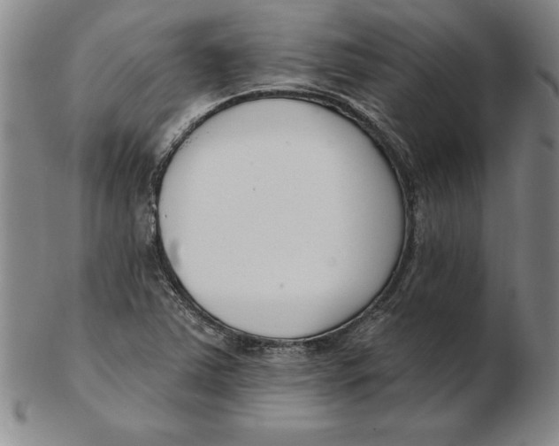 X0000102351363200808221644