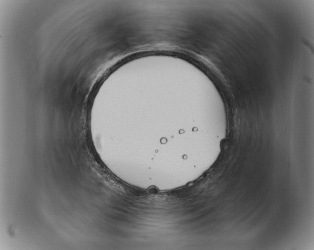 X0000102351364200808221644