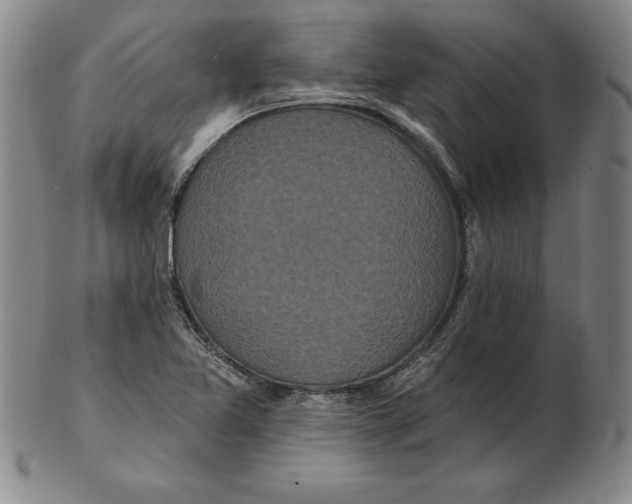 X0000102351365200808221644