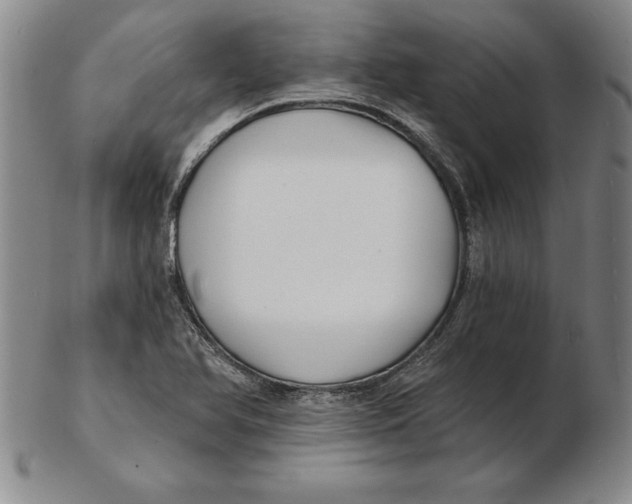 X0000102351366200808221644