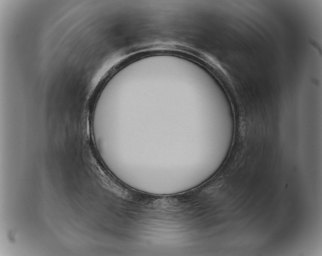 X0000102351368200808221644