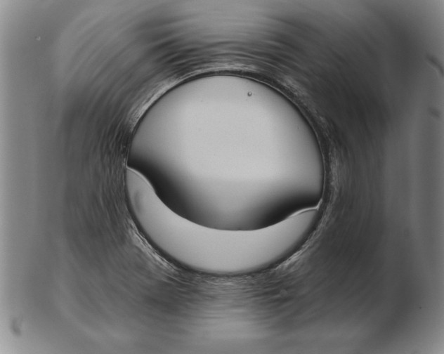 X0000102351369200808221644