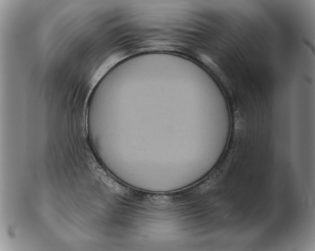 X0000102351370200808221644