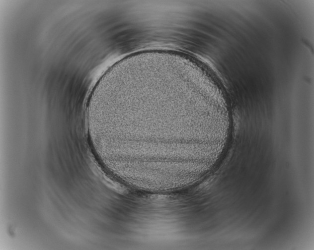 X0000102351371200808221644