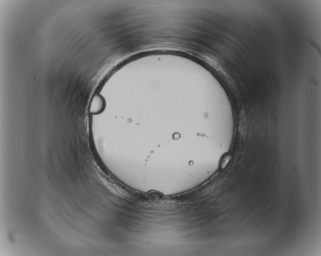 X0000102351372200808221644