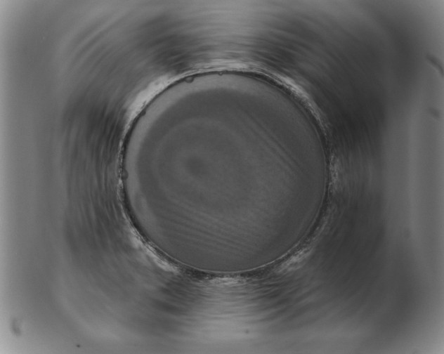 X0000102351373200808221644