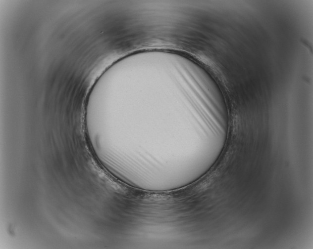 X0000102351374200808221644