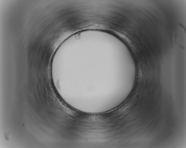 X0000102351375200808221644