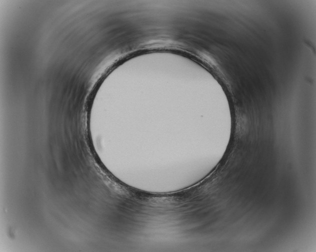 X0000102351376200808221644