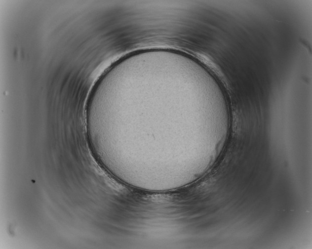 X0000102351380200808221644