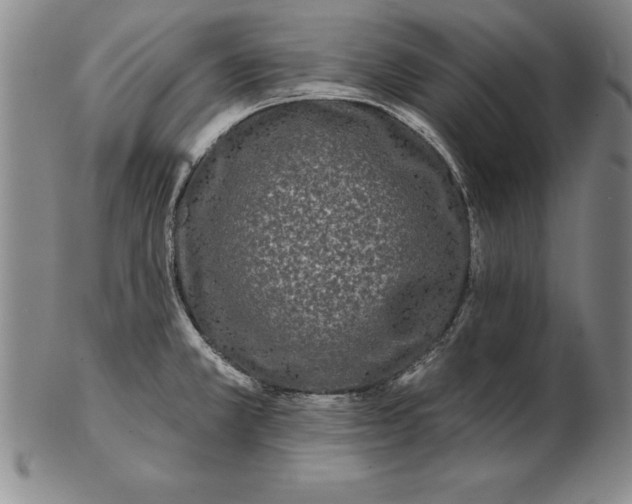 X0000102351381200808221644