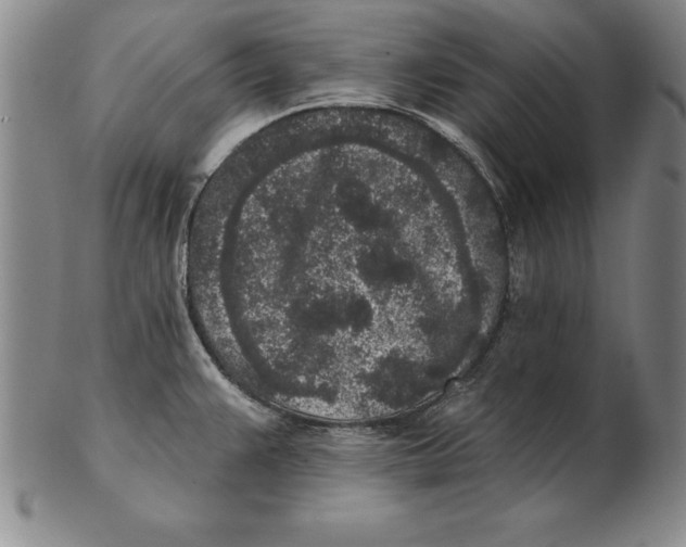 X0000102351383200808221644