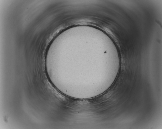 X0000102351384200808221644