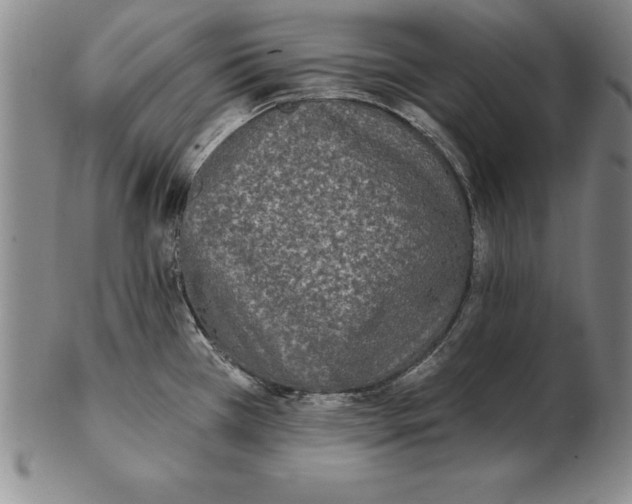 X0000102351385200808221644