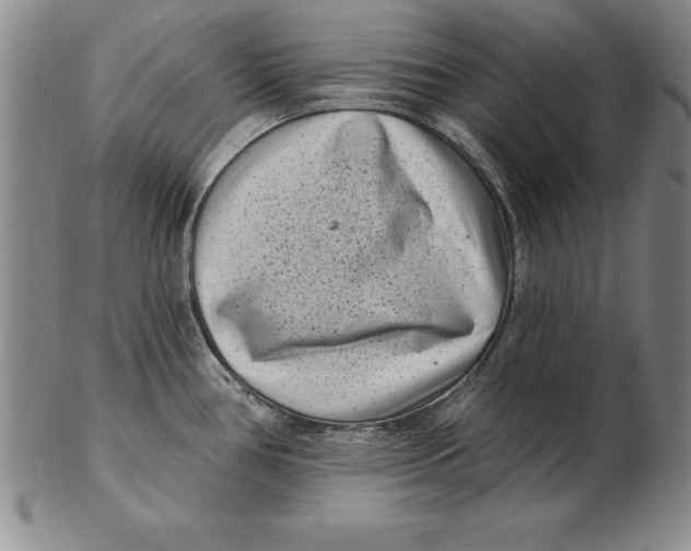 X0000102351386200808221644