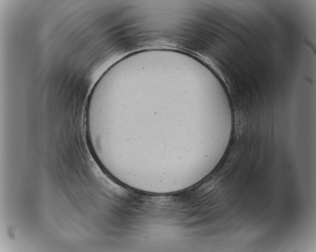 X0000102351387200808221644