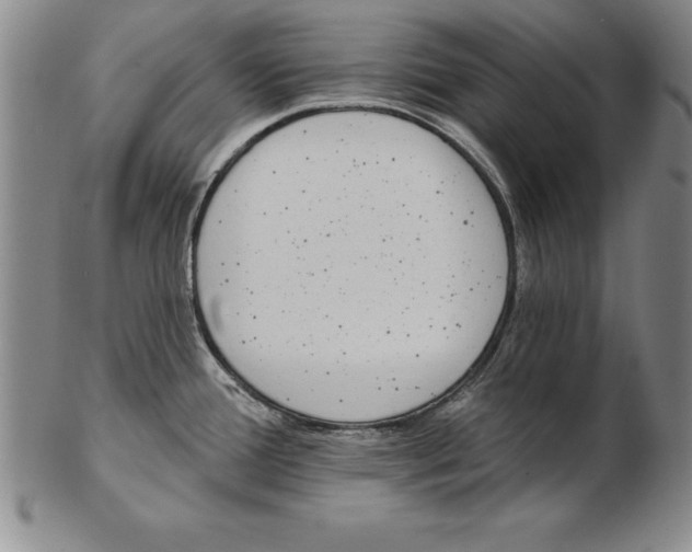 X0000102351388200808221644