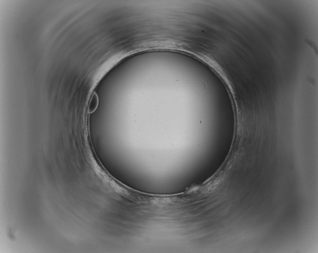 X0000102351389200808221644