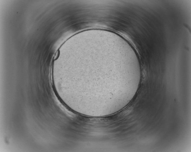 X0000102351391200808221644