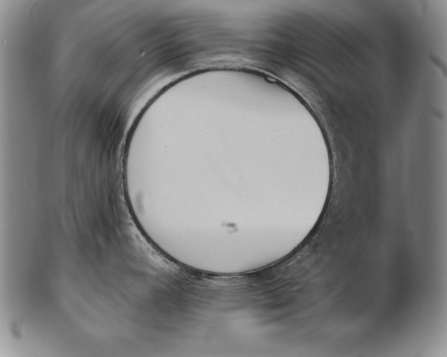 X0000102351392200808221644