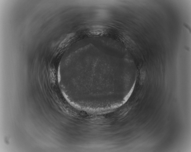 X0000102351394200808221643