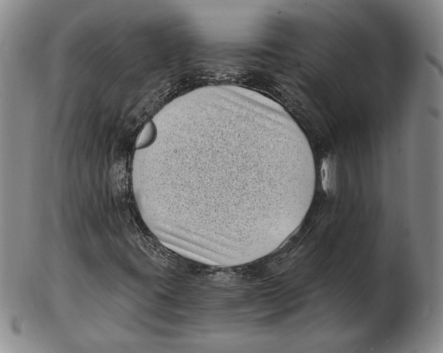 X0000102351395200808221643