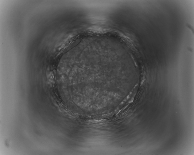 X0000102351397200808221643