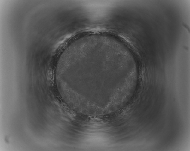 X0000102351398200808221643