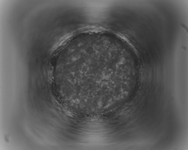 X0000102351399200808221643