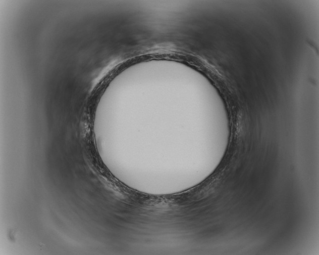 X0000102351400200808221643