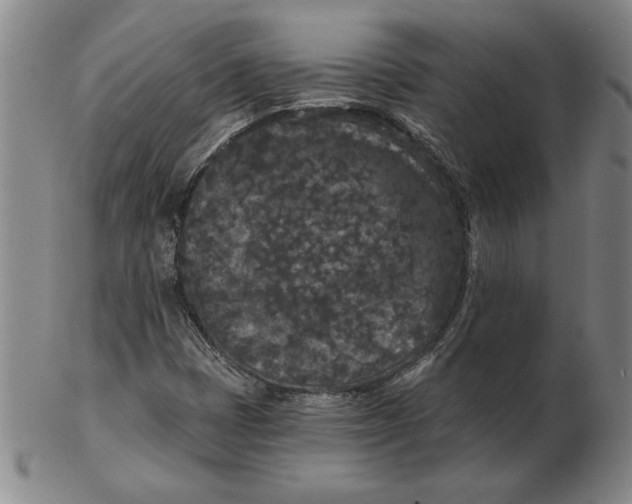 X0000102351401200808221643