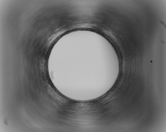 X0000102351404200808221643