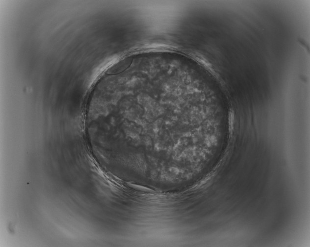 X0000102351405200808221643