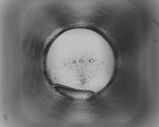 X0000102351410200808221643