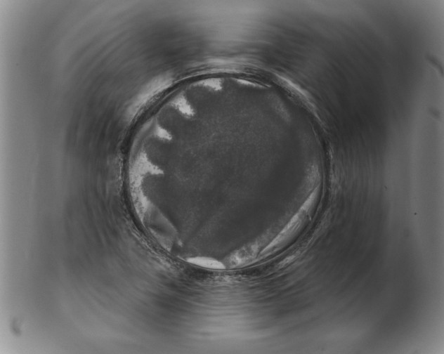 X0000102351411200808221643