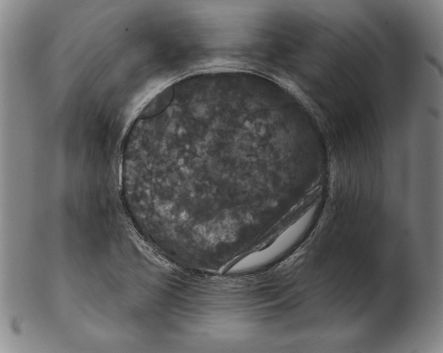 X0000102351413200808221643