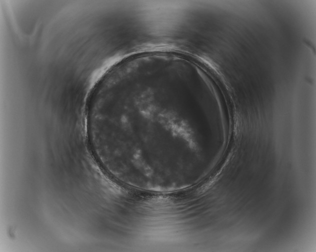 X0000102351414200808221643