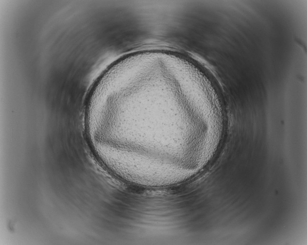 X0000102351415200808221643