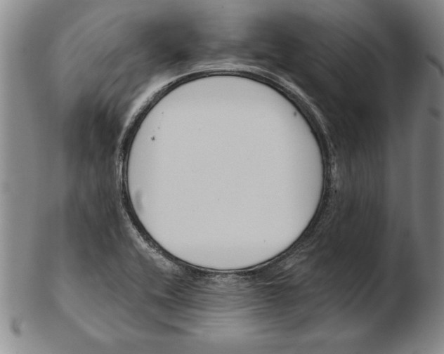 X0000102351416200808221643