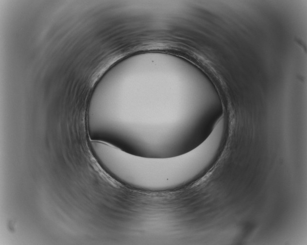 X0000102351417200808221643