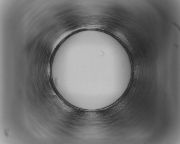 X0000102351420200808221643