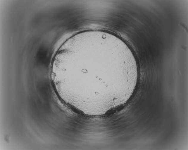 X0000102351421200808221643