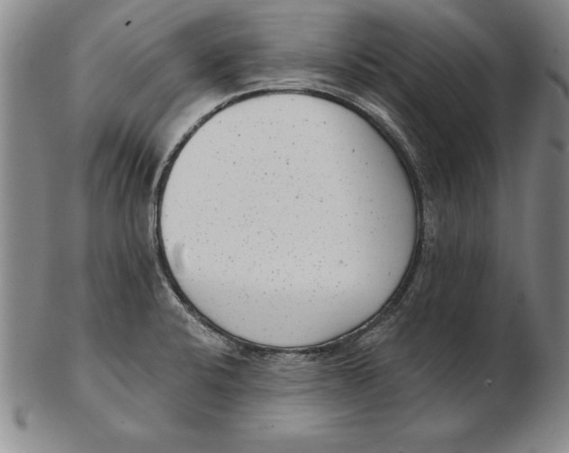 X0000102351424200808221643