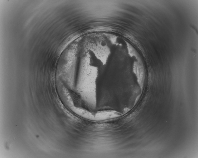 X0000102351425200808221643