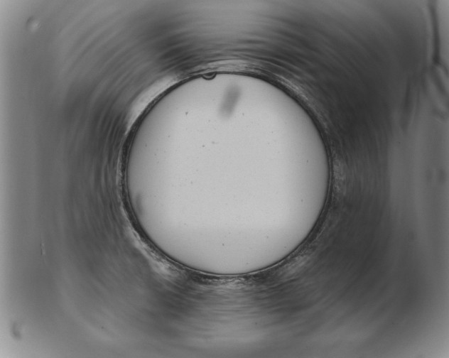 X0000102351426200808221643