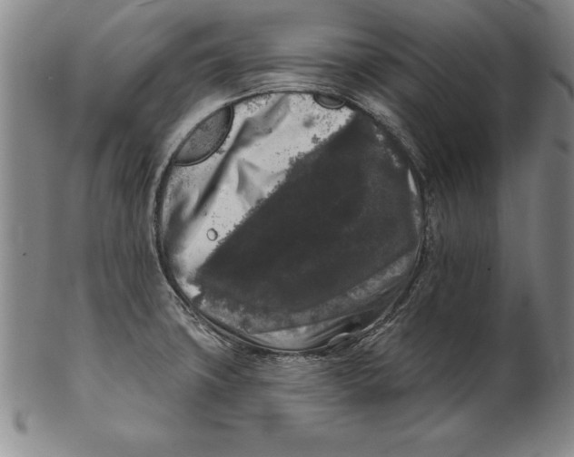 X0000102351427200808221643