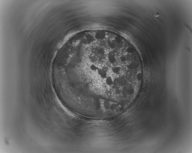 X0000102351429200808221644