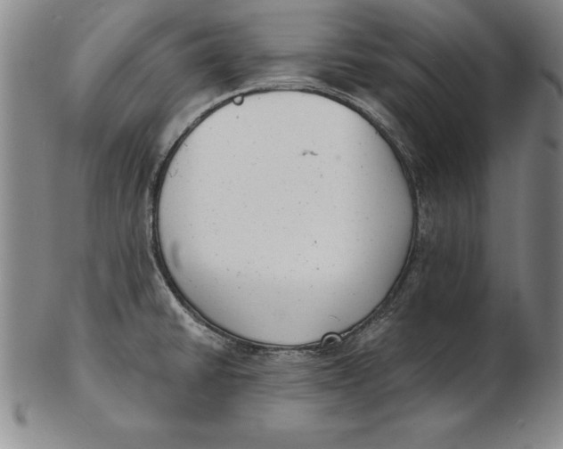 X0000102351430200808221644